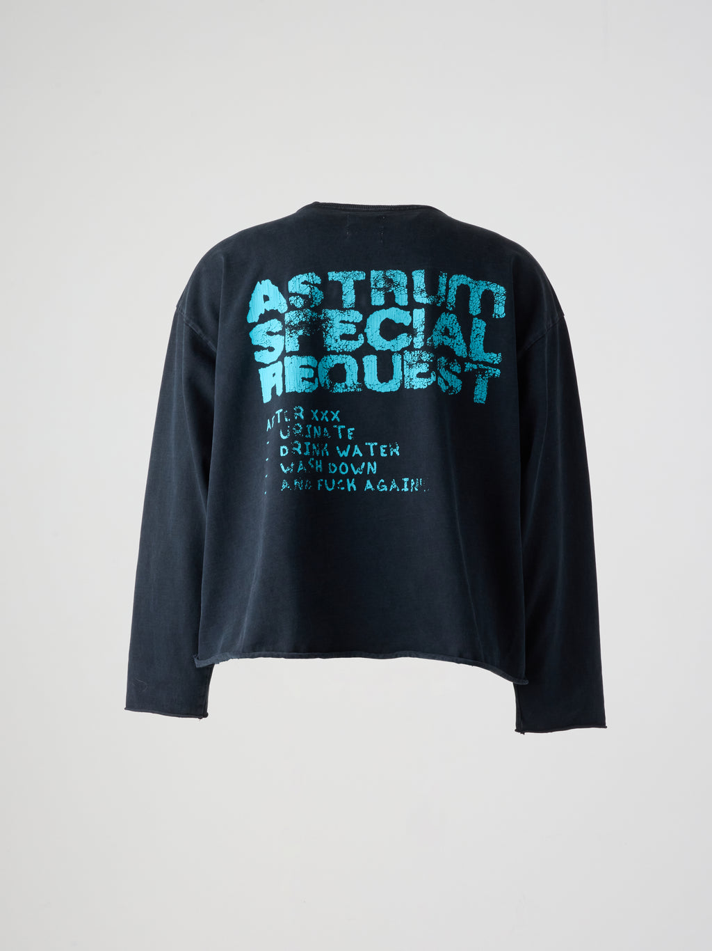 SPECIAL REQUEST LS TEE