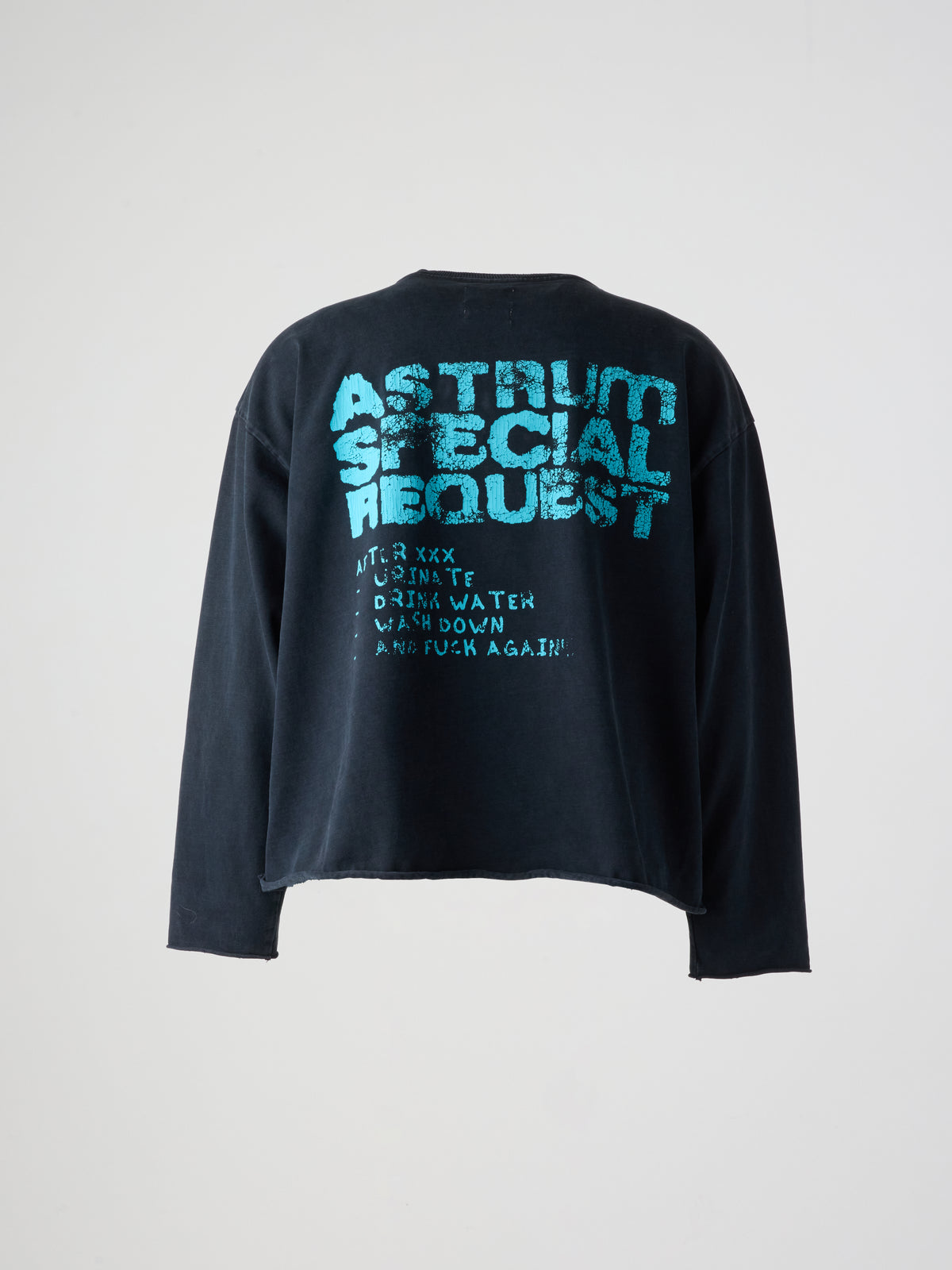 SPECIAL REQUEST LS TEE